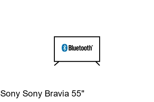 Conectar altavoz Bluetooth a Sony Sony Bravia 55"