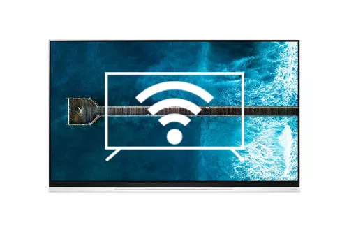 Connect to the internet LG OLED55E9PLA.AVS