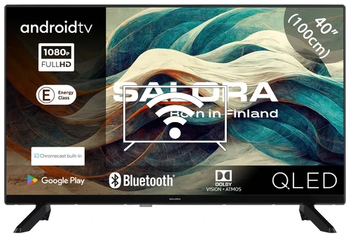 Connect to the Internet Salora 40QLED320