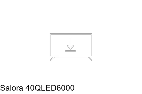 Installer des applications sur Salora 40QLED6000