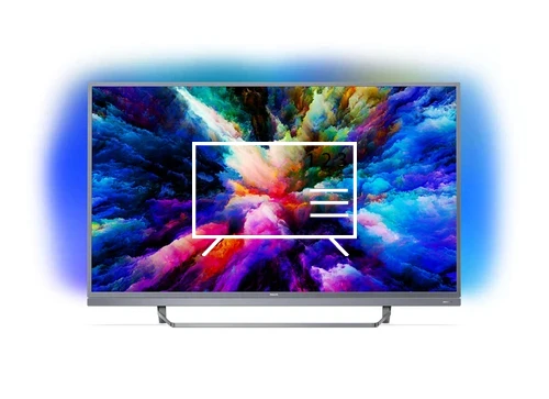 Organize channels in Philips 49PUS7503/62