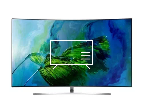 Organize channels in Samsung QE55Q8CAMTXTK