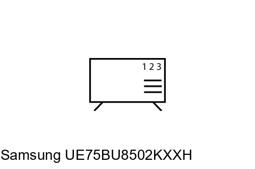 Organize channels in Samsung UE75BU8502KXXH