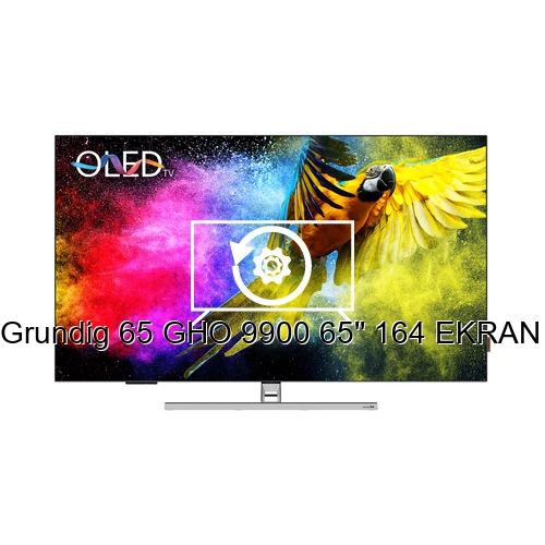 Réinitialiser Grundig 65 GHO 9900 65'' 164 EKRAN 4K UHD GOOGLE OLED TV