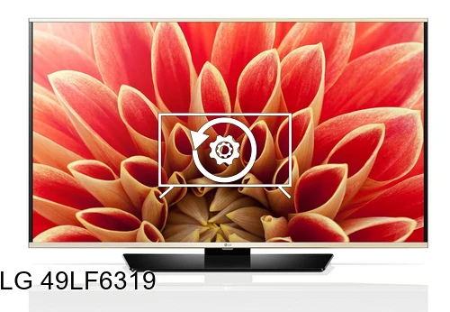 Factory reset LG 49LF6319