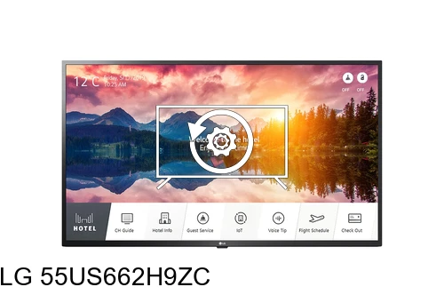 Factory reset LG 55US662H9ZC