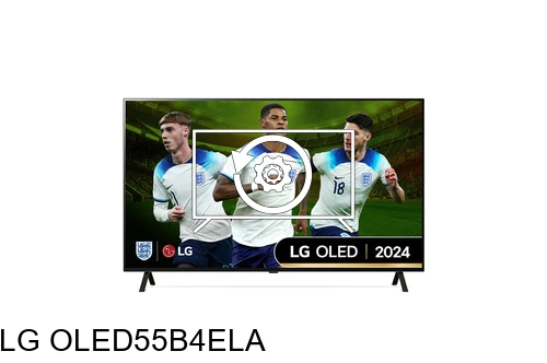 Restaurar de fábrica LG OLED55B4ELA