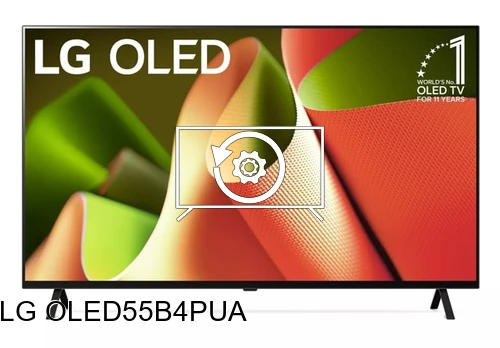 Factory reset LG OLED55B4PUA