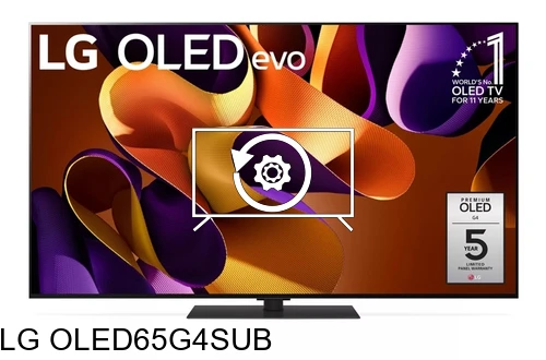 Factory reset LG OLED65G4SUB