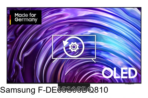 Factory reset Samsung F-DE65S95DQ810