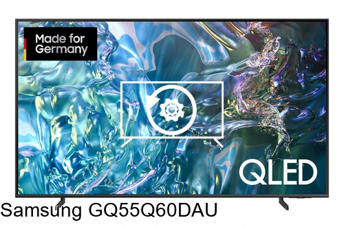 Resetear Samsung GQ55Q60DAU