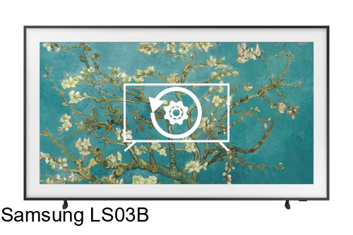 Restaurar de fábrica Samsung LS03B