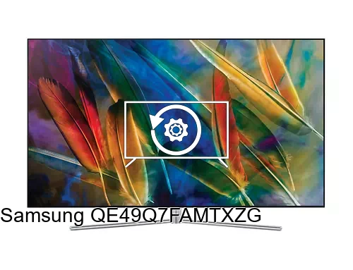 Factory reset Samsung QE49Q7FAMTXZG