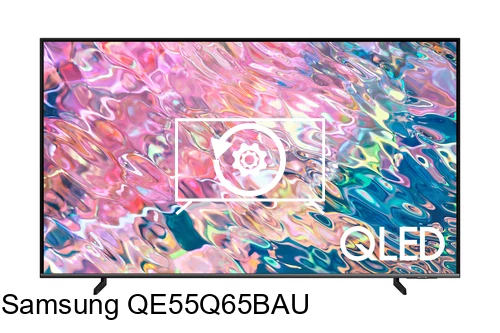 Factory reset Samsung QE55Q65BAU