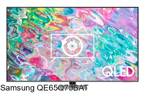Factory reset Samsung QE65Q75BAT