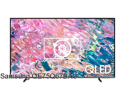 Resetear Samsung QE75Q67BAU