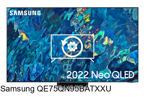 Factory reset Samsung QE75QN95BATXXU