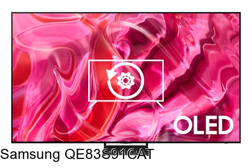 Factory reset Samsung QE83S91CAT
