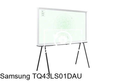 Factory reset Samsung TQ43LS01DAU