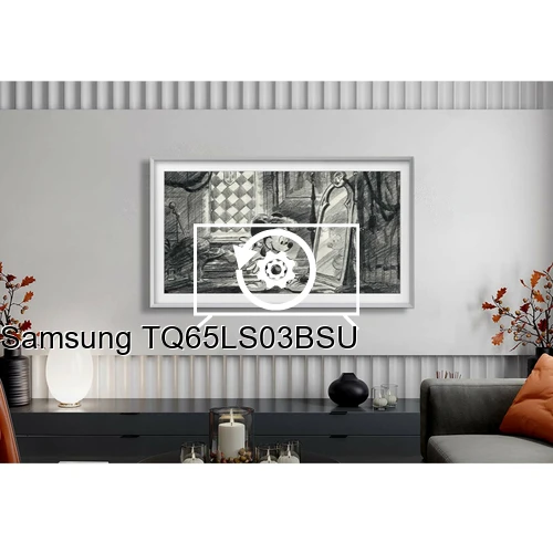 Factory reset Samsung TQ65LS03BSU