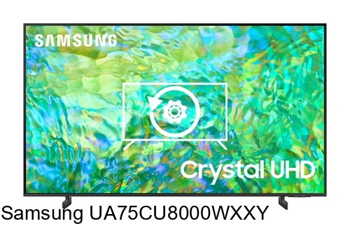 Factory reset Samsung UA75CU8000WXXY