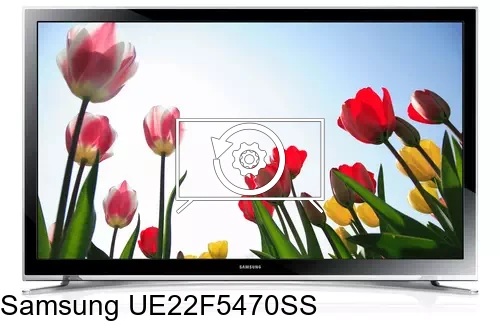 Factory reset Samsung UE22F5470SS