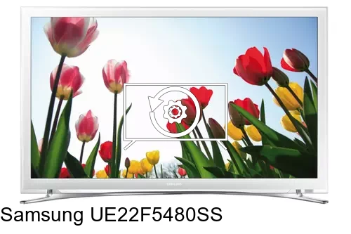 Factory reset Samsung UE22F5480SS