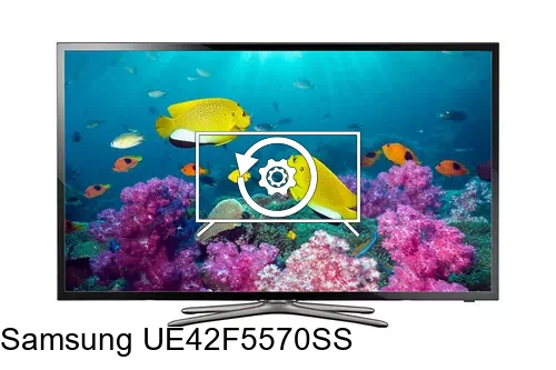 Factory reset Samsung UE42F5570SS