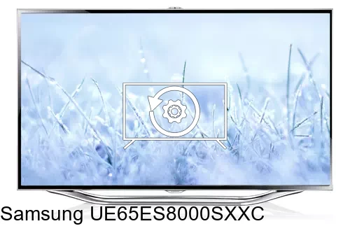 Factory reset Samsung UE65ES8000SXXC