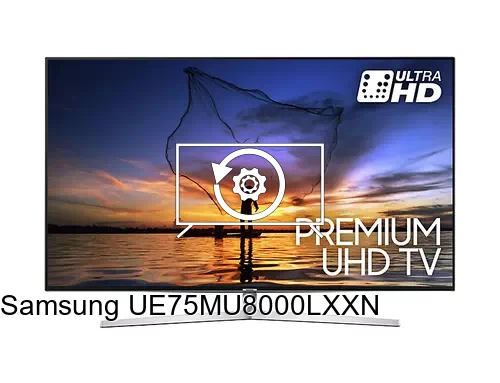 Factory reset Samsung UE75MU8000LXXN