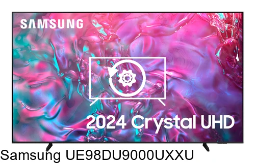Resetear Samsung UE98DU9000UXXU
