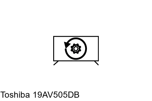 Factory reset Toshiba 19AV505DB