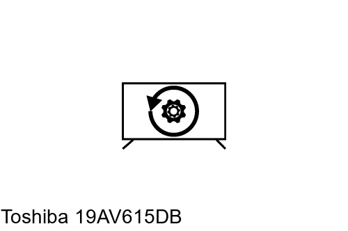 Factory reset Toshiba 19AV615DB