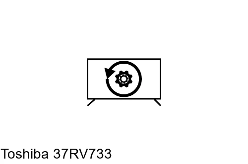 Reset Toshiba 37RV733