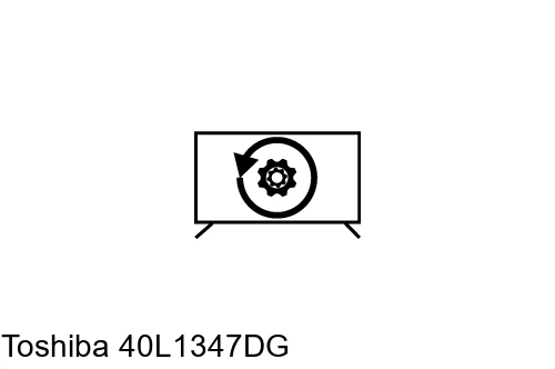 Reset Toshiba 40L1347DG