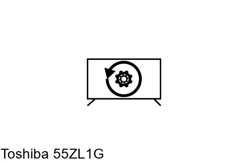 Reset Toshiba 55ZL1G