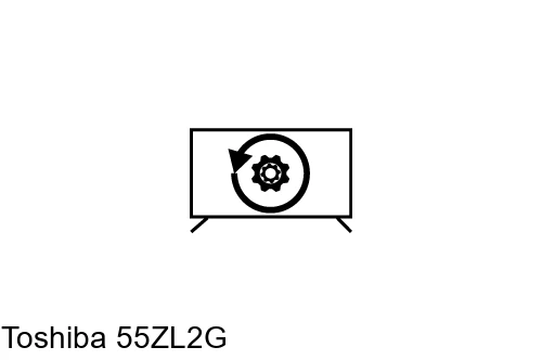 Resetear Toshiba 55ZL2G