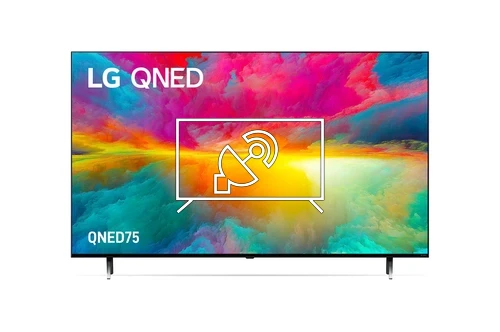 Search for channels on LG 55QNED75SRA