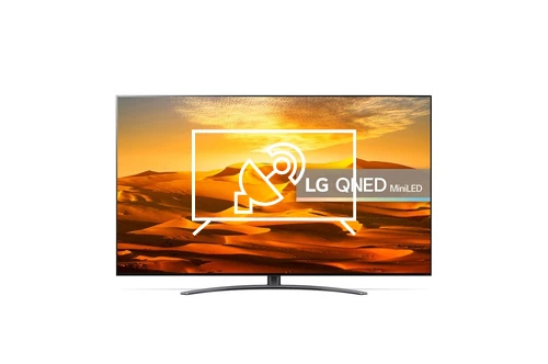 Syntonize LG QNED91