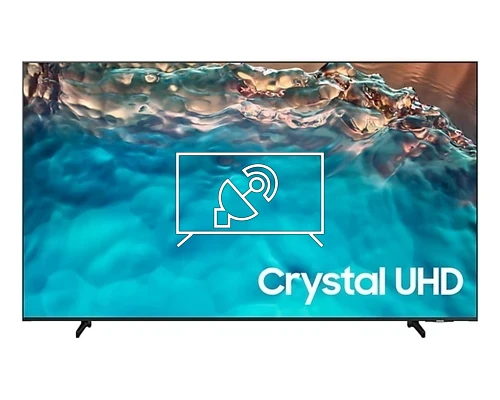 Search for channels on Samsung HG43BU800