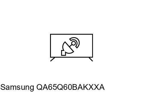 Syntonize Samsung QA65Q60BAKXXA