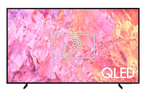 Search for channels on Samsung QN50Q60CAFXZX