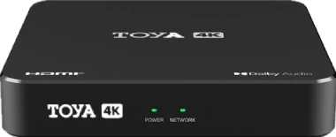 Connect to the internet TOYA TV Box