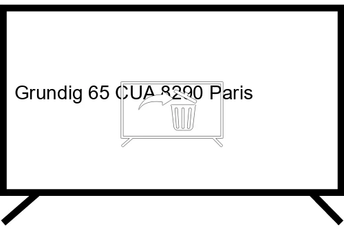 Désinstaller des applications sur Grundig 65 CUA 8290 Paris