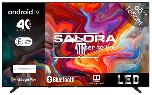 Uninstall apps on Salora SMART65TV