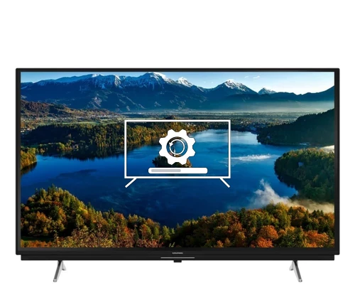 Cómo actualizar televisor Grundig 55GGU7900B