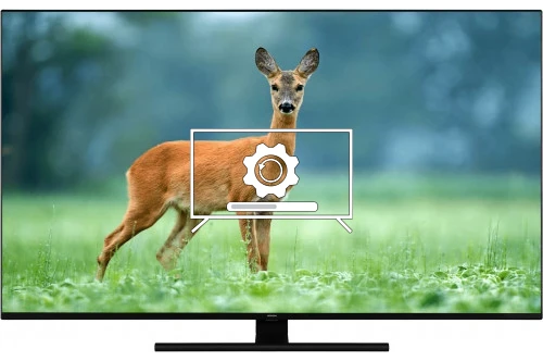 How to update Hitachi 65HAL7350 TV software