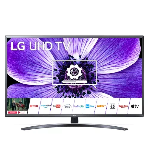 Update LG 43UN74006LB operating system