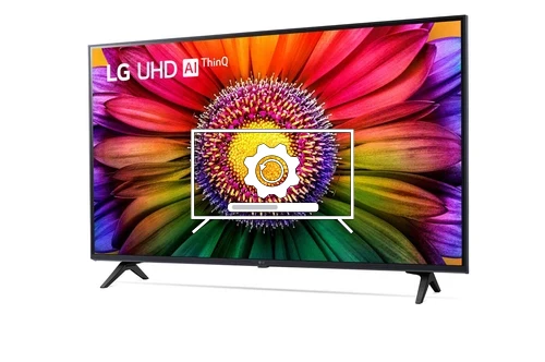 Update LG 43UR80006LJ operating system