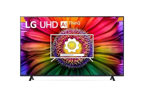 How to update LG 50UR80003LJ TV software